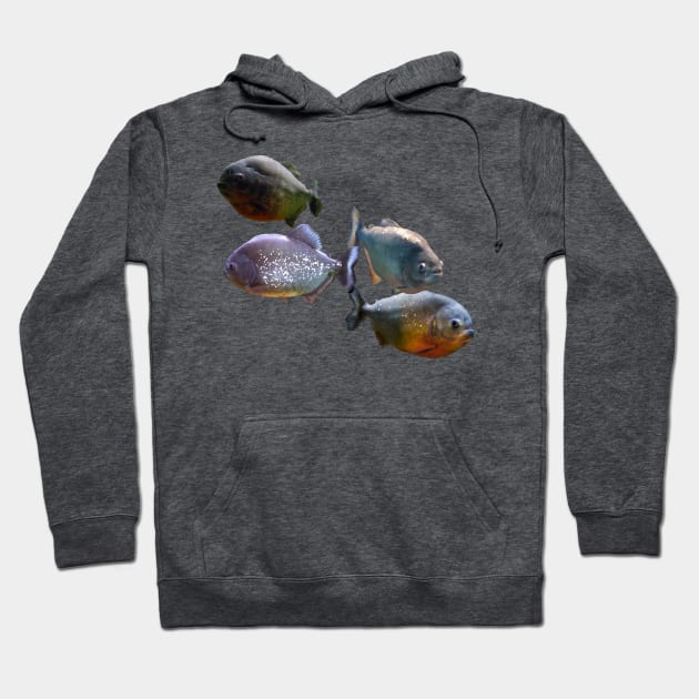 Red-Bellied Piranha Hoodie by stargatedalek